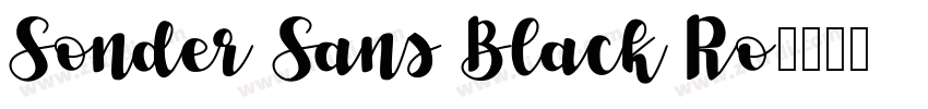 Sonder Sans Black Ro字体转换